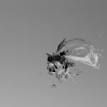 tanuki_mesh-texture_explosion_003