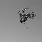 tanuki_mesh-texture_explosion_004