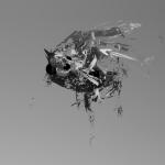 tanuki_mesh-texture_explosion_005