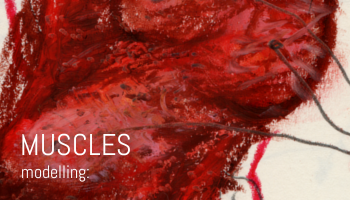 Cover-modelling-muscles.png